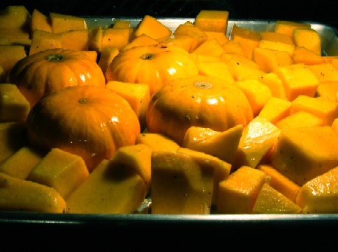 Pumpkin%205.JPG