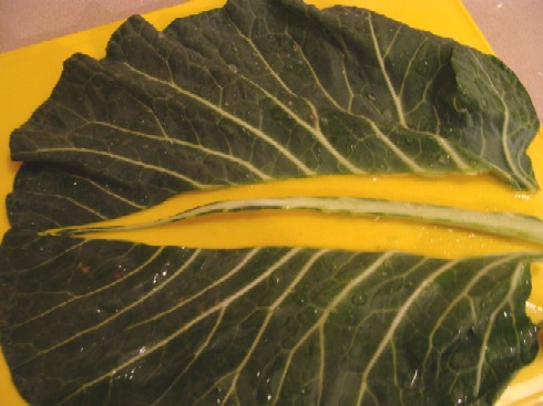 collard%20leaf.JPG