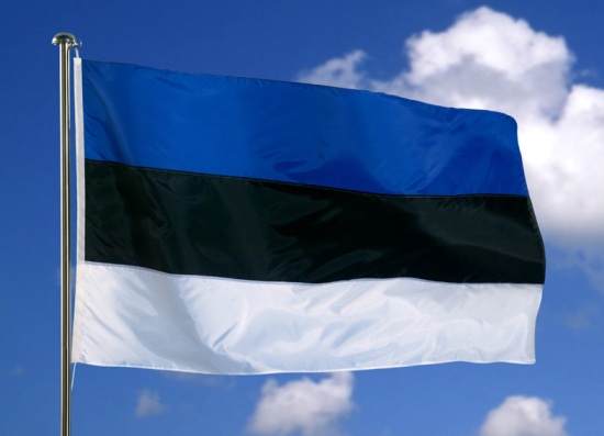 estonian%20flag.jpg