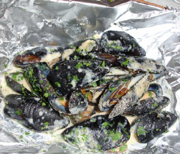 mussels.JPG