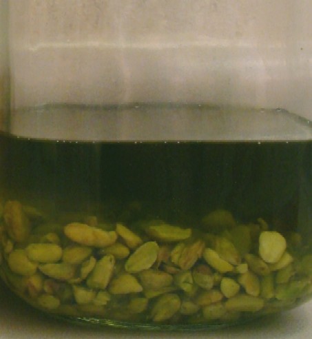 pistacio%20infusing.JPG