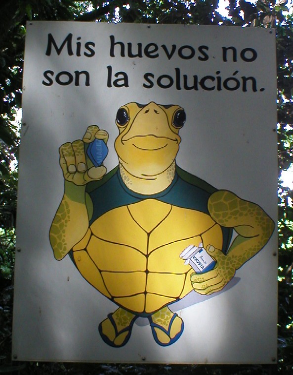 viagraturtle.JPG